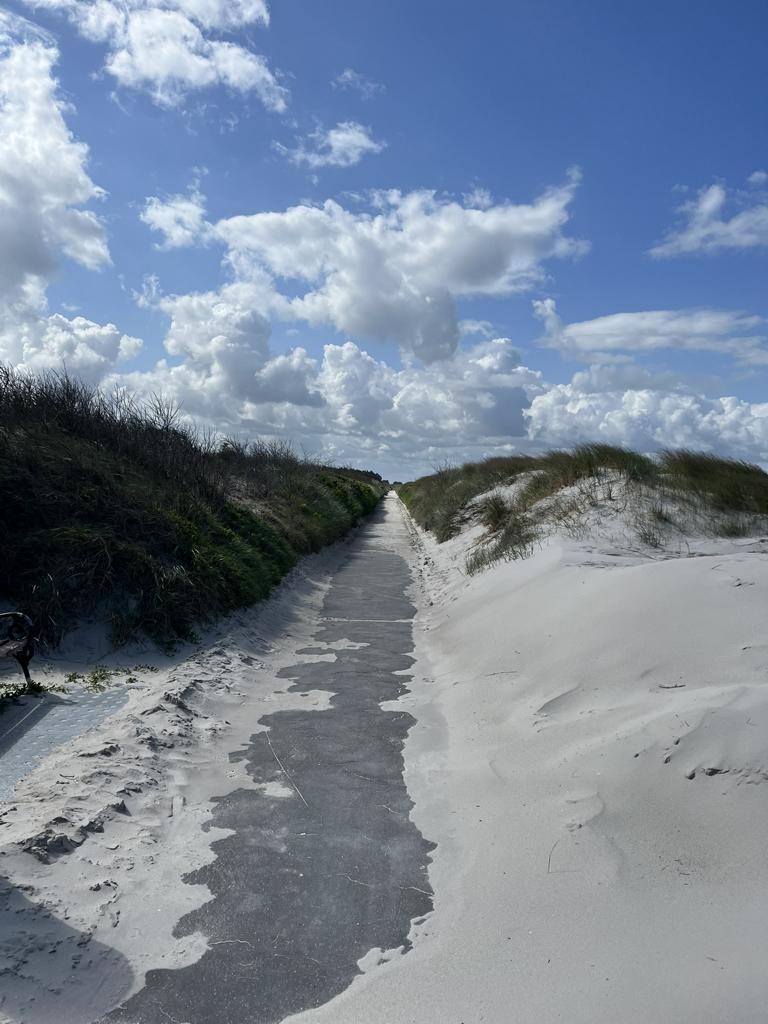 Fadenrot Hiddensee: Modedesign von der Insel